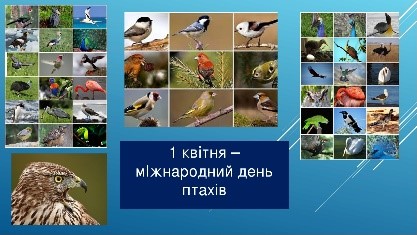 День крилатих мандрівників